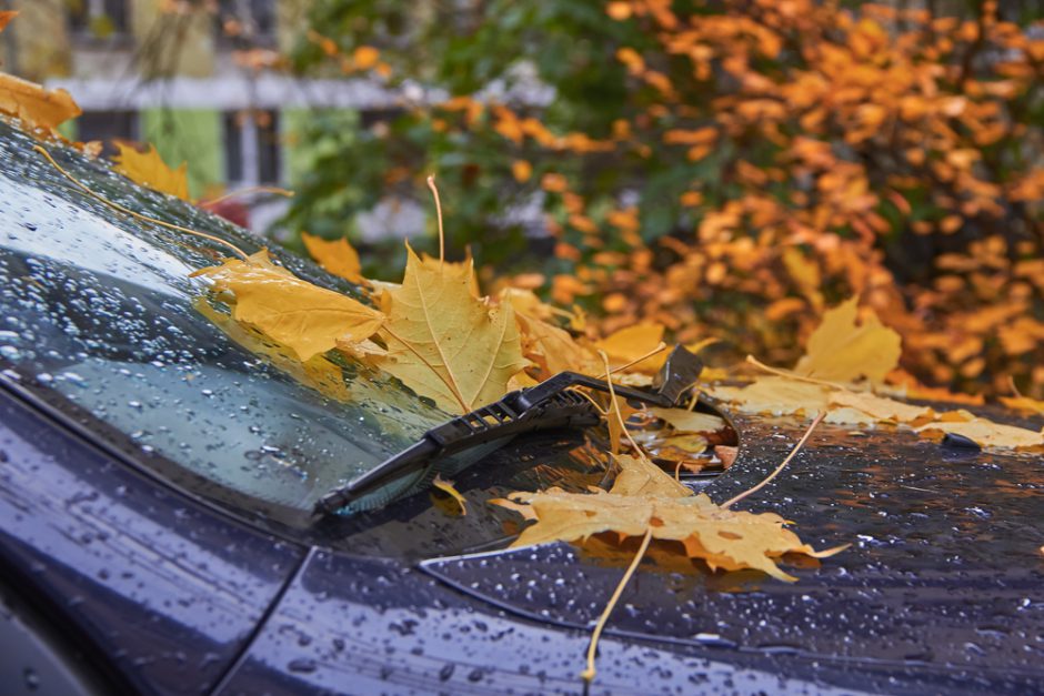 雨の日に車内がカビ臭い原因とその対策について徹底解説