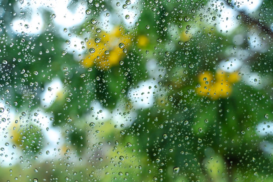 梅雨時期に車内が臭い原因とその対策方法を徹底解説